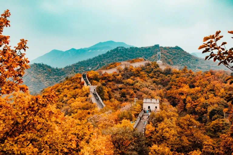 Vista de la Gran Muralla China desde lo alto en medio de vegetación