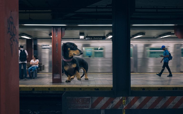 Artista lleva su perro salchicha gigante a Brooklyn para abordar un