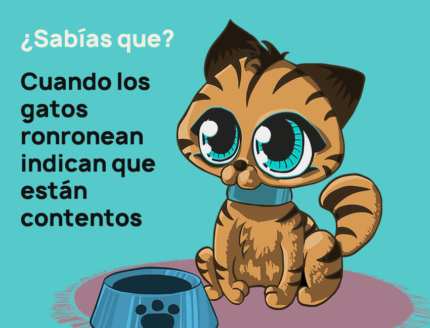 10 Datos Curiosos Para Niños Que Tal Vez Ni Tú Sabías 2 Planeta Curioso 8476